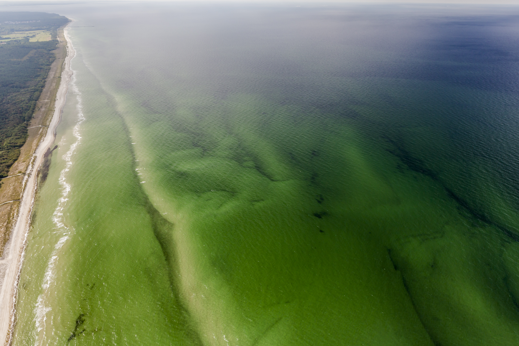 Luftaufnahme Strand Zingst FeWos Del Mar